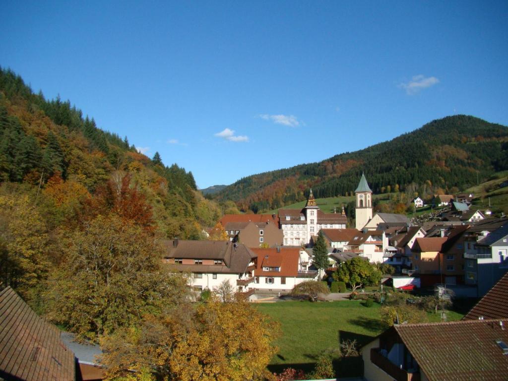 Hotel Hirsch Bad Peterstal-Griesbach Exterior foto
